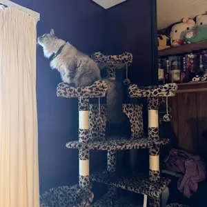 HOOMIC 73-Inch Fan-Shaped Corner Cat Tree, Space-Saving Multi-Level Tower with Cozy Condos, Perches, Baskets & Sisal Scratching Posts – Indoor Cat Activity Center