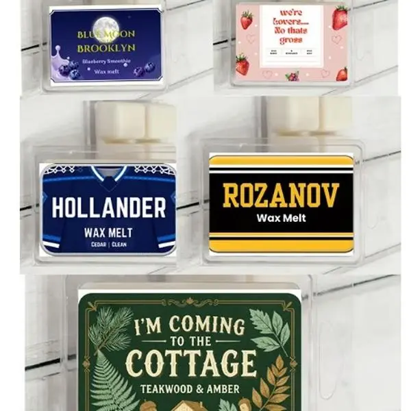 Heated Rivalry Inspired Wax Melts