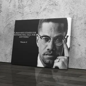 (No Frame) Malcolm X Motivational Quote Poster Wall Art Home Decor Poster Print