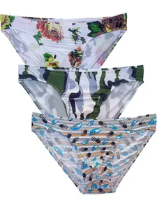 Men's Triangle Briefs Set of 3, Printed Mesh Nylon Transparent Ultra-Thin Elastic Low Waist Sports Comfort Bikini Bottoms, All Seasons