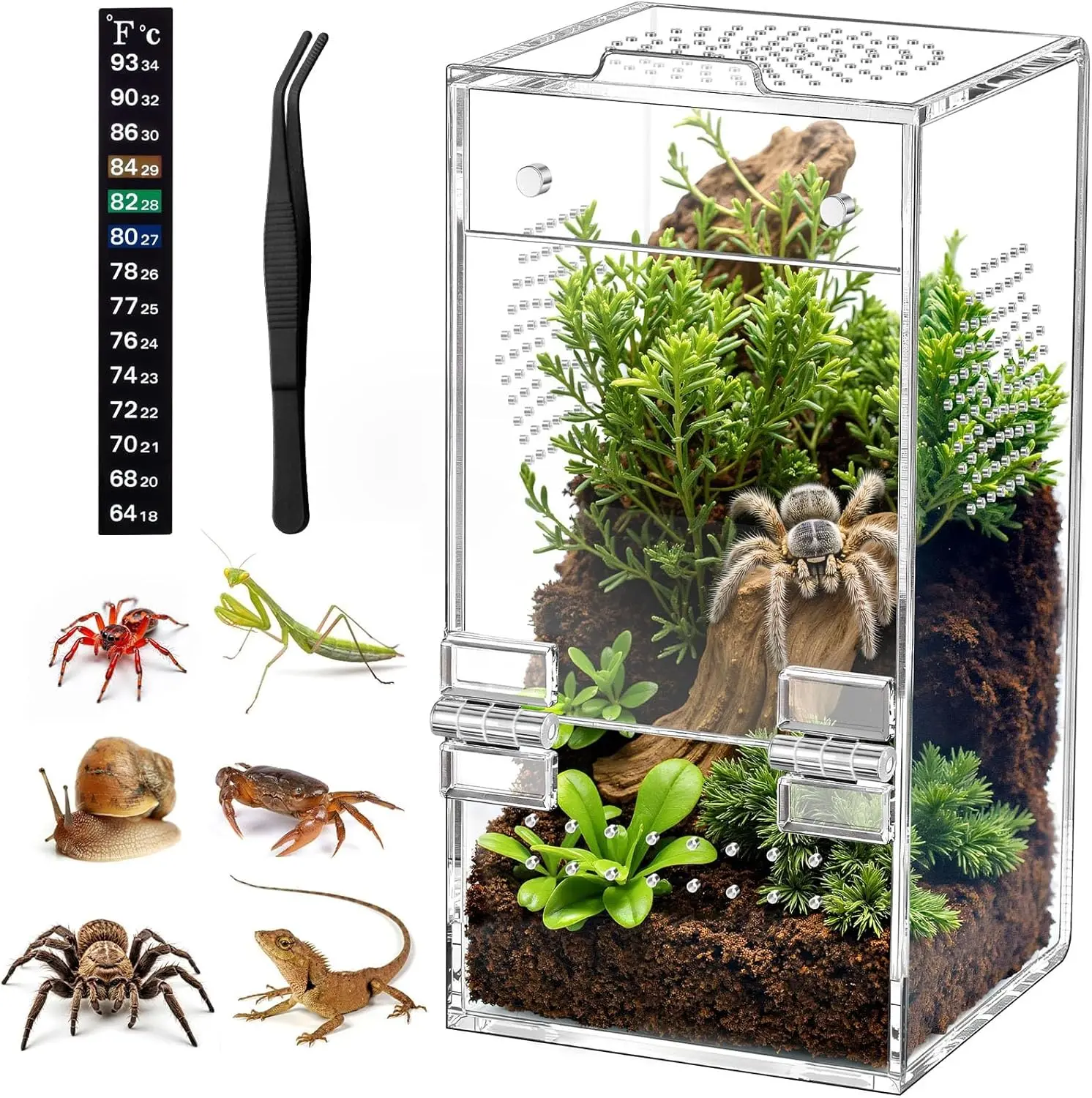 Pre-Assembled Jumping Spider Enclosure, Acrylic Terrarium with Magnetic Door & All-Side Ventilation, Habitat for Spiderling, Mantis, Tarantula, Snail, . "*. "*" (Tweezer & Temp Sticker Included)