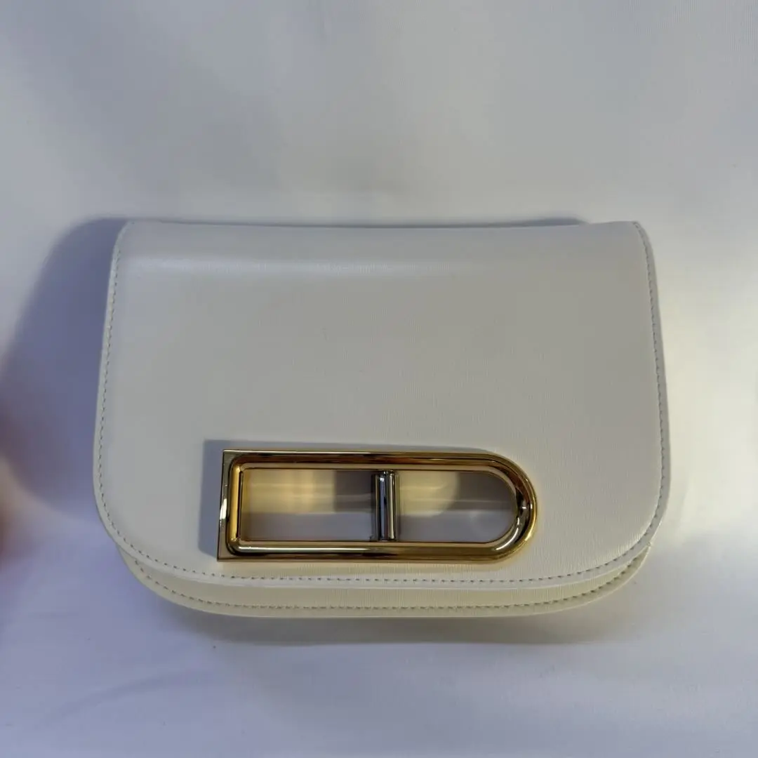 Pre-owned delvaux Lingot Small Crossbody Bag in White Box Calf Leather