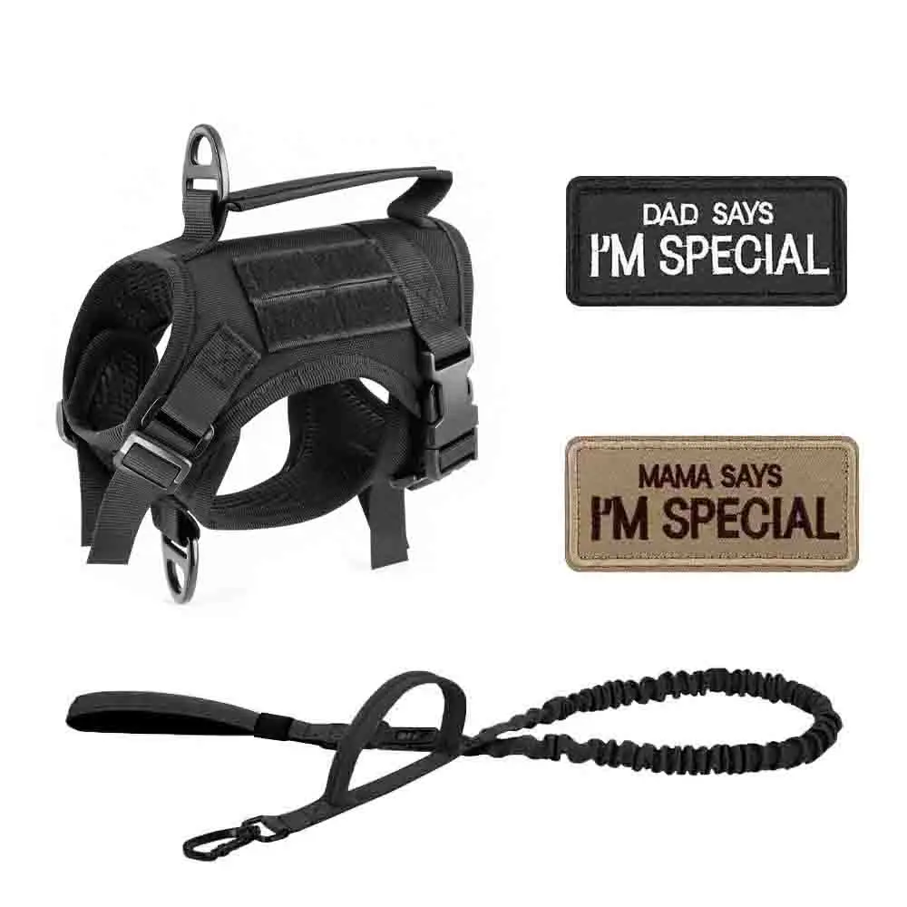 Black Harness and Leash set