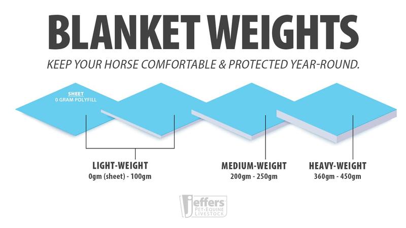 Jeffers Expression 1200 Denier Standard Neck Horse Turnout Sheet, 0 Gram Equine Blanket