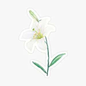 white lily watercolor Sticker Vinyl Waterproof Sticker Decal for Car Laptop Wall Window Water Bottles - Bumper Sticker 3'