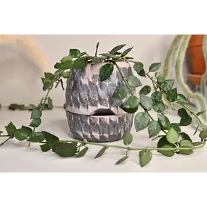 Moody Purple Dragon Egg Self Watering Planter