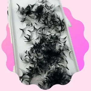 9D 0.07 Promade Fans (Box Of 500) Eyelash Extensions