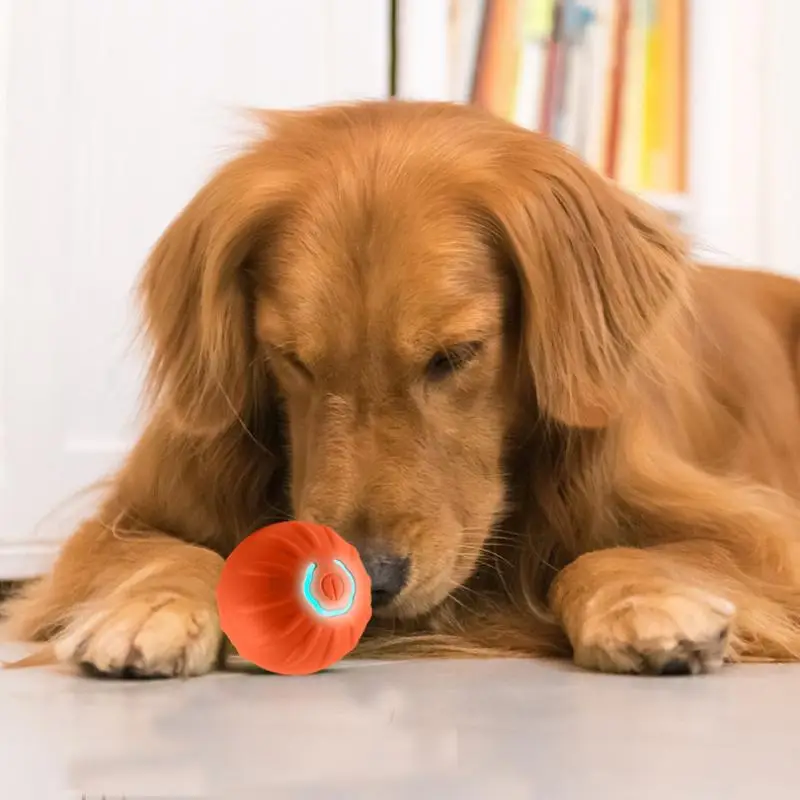 USB Rechargeable Smart Dog Toy Ball, Electronic Interactive Pet Toy, Moving Ball, Automatic Bouncing Ball for Puppy Birthday Gift, Dog Stuff
