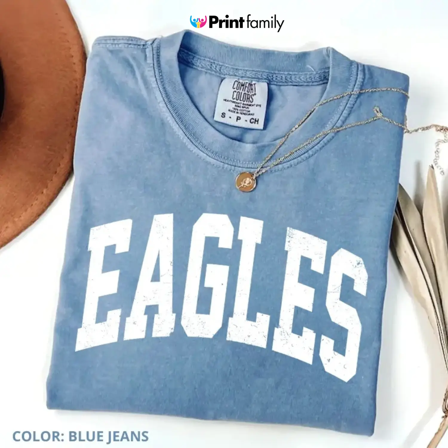 Comfort Colors Vintage Eagles T Shirt, Game Day Shirt, College Spirit Tee, Teacher Gameday Gift, Tailgate Football Tee, Short Sleeve Tee - Printfamily