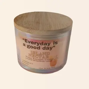 Island Nectar Homemade Coconut Pineapple Mango Scented Candle - 12 Ounce - Creamy, Decorative Household Tropical
