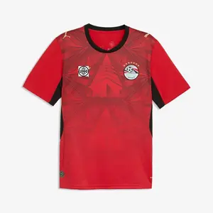 Personalized Egypt Soccer Jersey Full Set World Cup 2026, Custom Name Number Logo National Soccer Jersey N