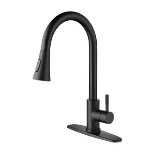 Pull-Out Sprayer Kitchen Faucet - Stainless Steel