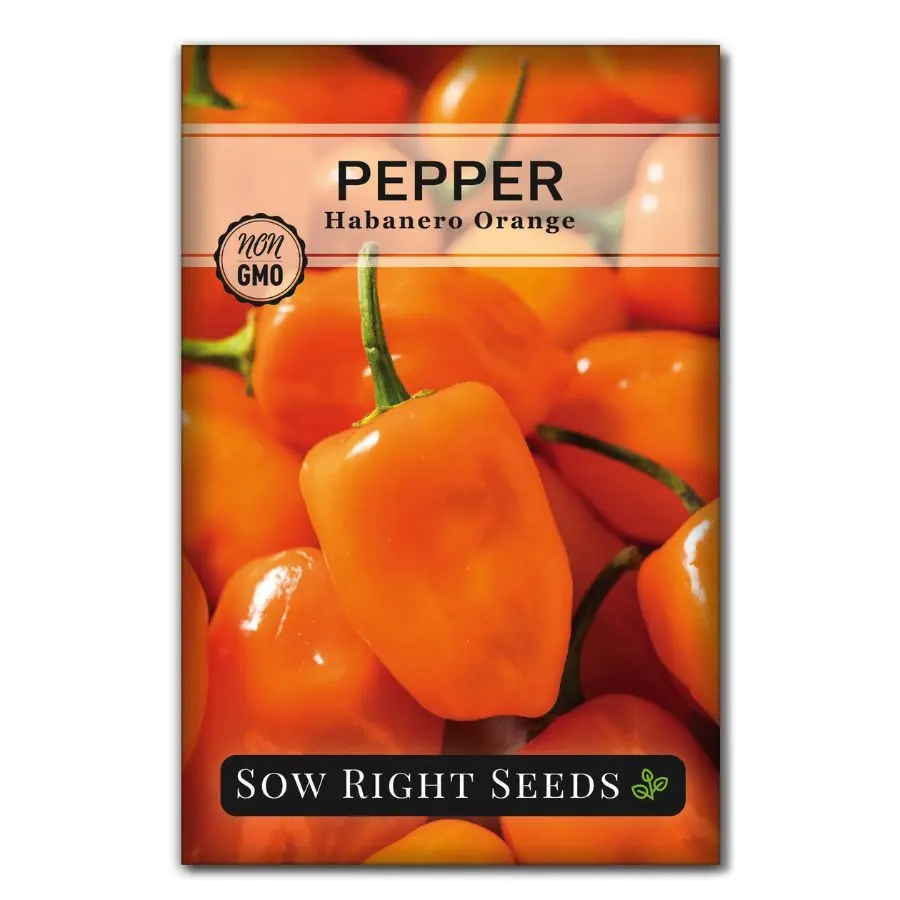 Habanero Orange Pepper Seeds