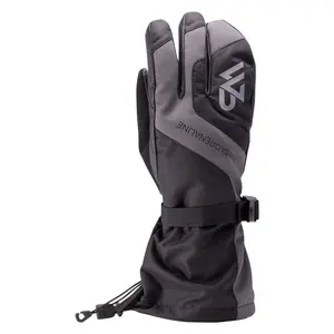Mens Homer Snow Gloves (2024)