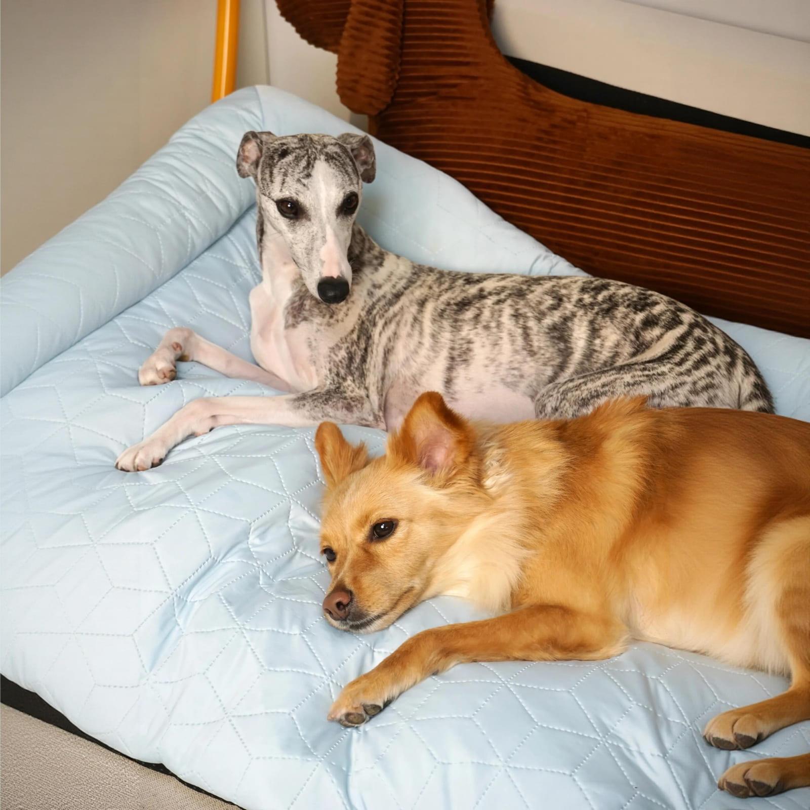 Elevated Large Cooling Dog Bed with Neck Support Headrest - Instant Cooling Silk Fabric, Washable Anti-Slip Mat, Portable Built-In Pillow for Small to Large Dogs & Cats Up to 40lbs (Summer Use)