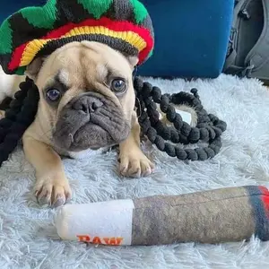 Doggy Blunts - Funny Dog Toys - Plush Squeaky Toys for Medium, Small and Large - Cool Stuffed Cute Gifts for Dog Birthday
