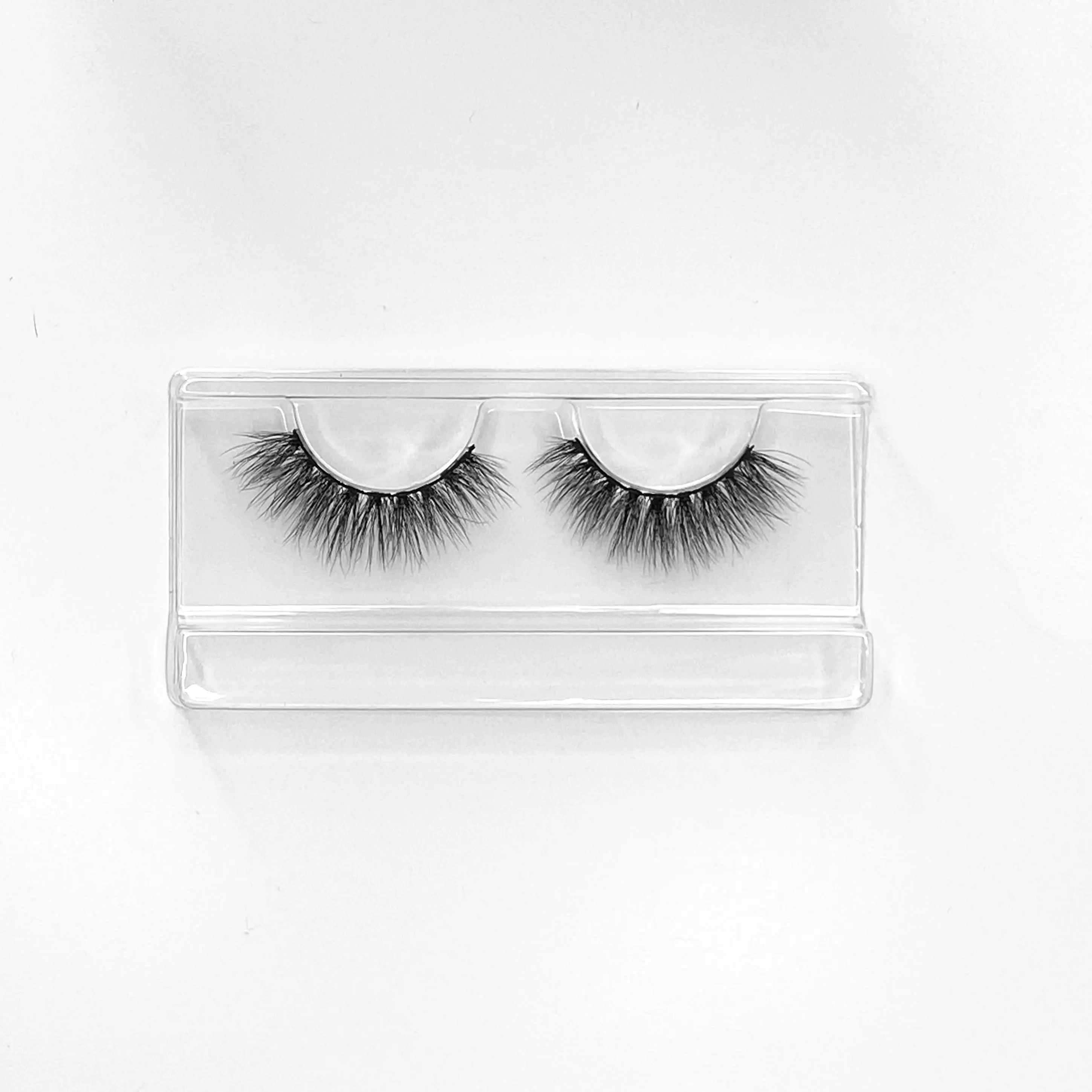 The Bright Lashes - Daydream