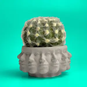 Multi Face Succulent Planter