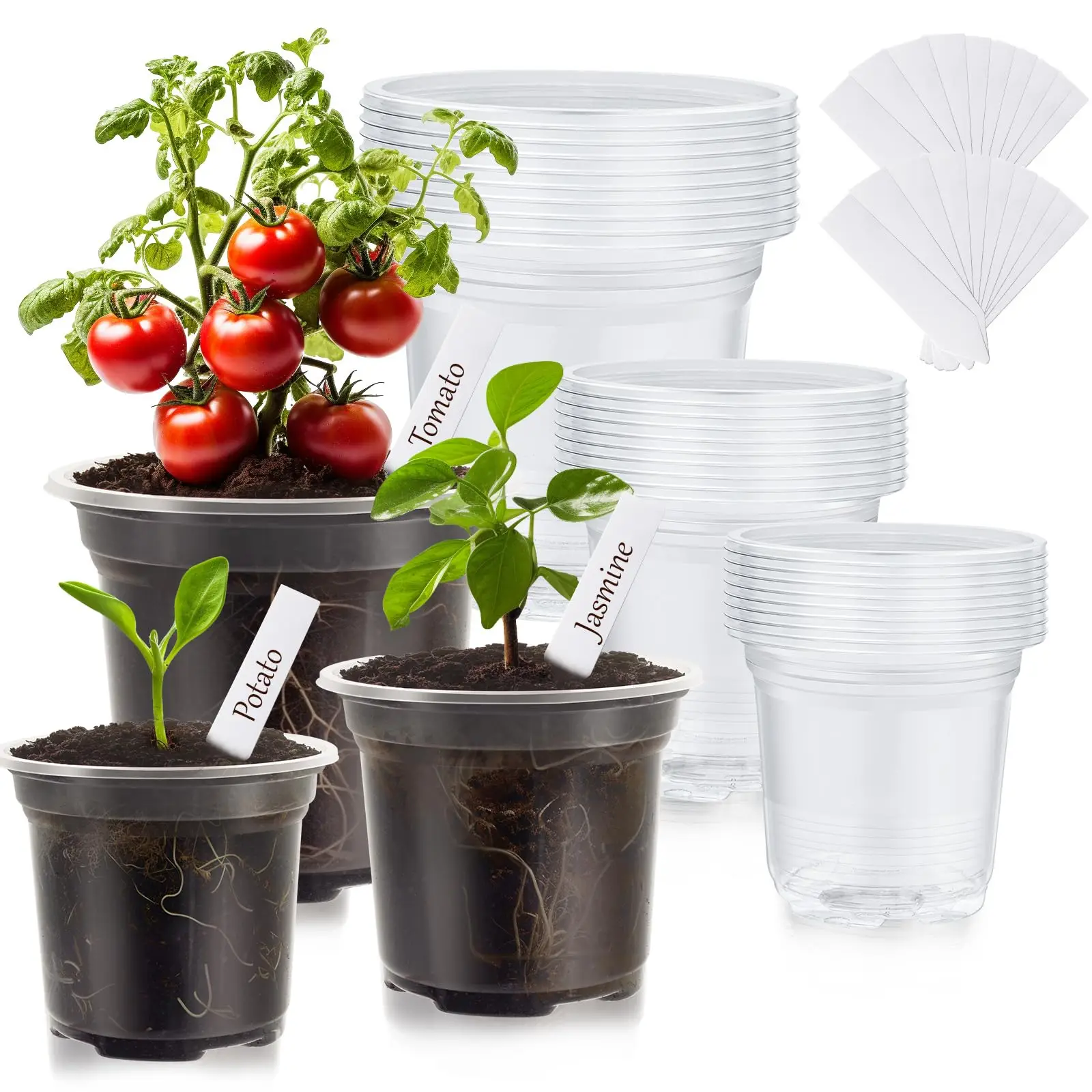 Clear Nursery Pots 30 Packs for Planting, 3.5/4/5 Inch Plastic Seedling Pot with Drainage Holes High Transparency