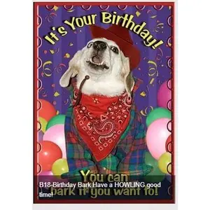 Dog Birthday Invitations Its my Party