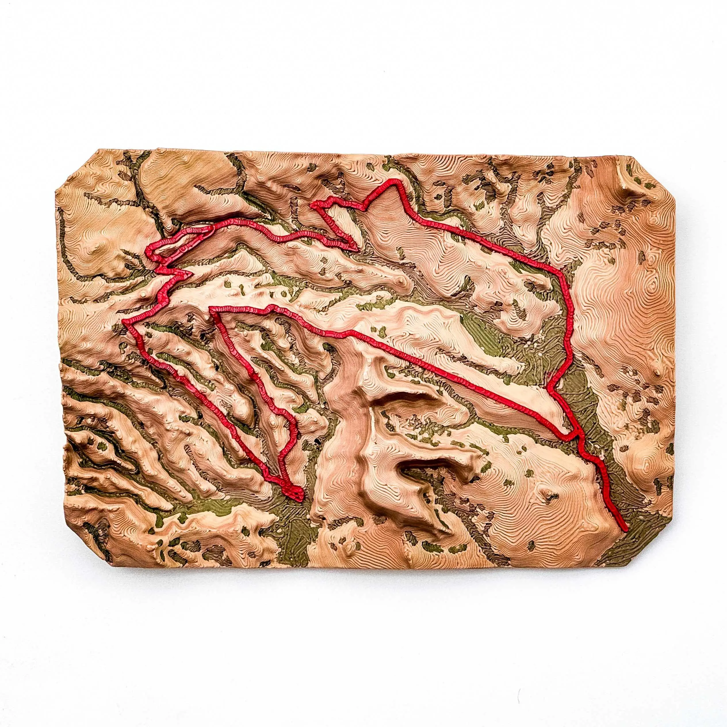 Jax Trax 4x4 Trail Moab, UT - 3D Printed Topographical Map - TrailSculpt