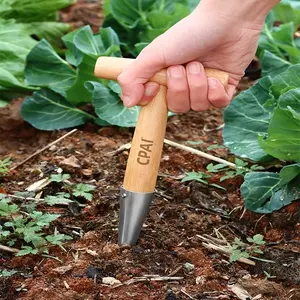 2pcs Seed Planting Tool, Multi-Functional Agricultural Hole Digger, Stainless Steel Garden Seeder, Home Gardening Equipment, Za040 Model