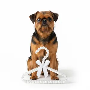 Cute Heart Pearl Pet Clothes Hanger – Dog & Cat Wardrobe Organizer