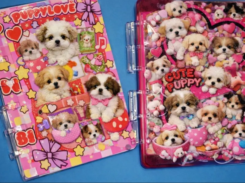 LIVE SELL Shakeable Charm Notebook