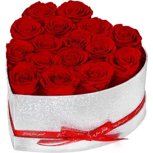 16 Preserved Roses in Heart Shaped Box, Forever  for Delivery . Birthday Gifts For Women Mom Wife, Eternal Roses Valentines Day Mothers Day Gifts for Her(Red)