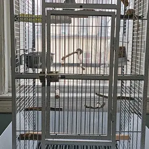 8 PCS Natural Bird Perch Set - Apple Wood Platforms & Hardwood Branches for Parakeets, Cockatiels, Lovebirds - Natural Cage Accessories, Gym Playstand & Chewing Toys for Small Birds