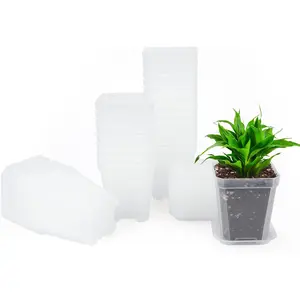 3inch  Pots,24 Pcs Thick Plastic Square Planter Pots,Flower  Container Seed Starting Transplanting Pots (Clear)
