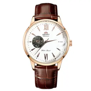 Boutique Double Lion Classic Watch Series Automatic Mechanical Watch with Rose Gold Accents Brown Leather Strap for Men