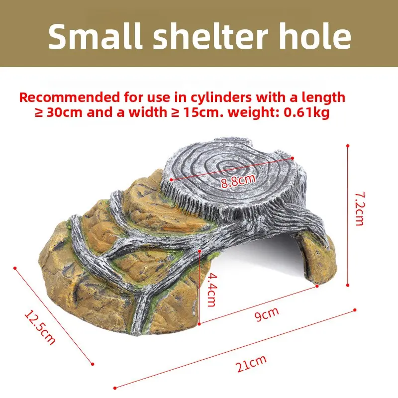 [Sun deck] Small size