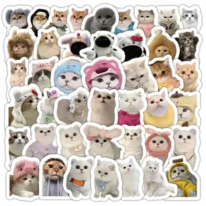 [RANDOM 5 STICKERS CUTE]
