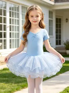 Toddler Girls' Sky Blue Ballet Tutu Dress - Short Sleeve Soft Stretchy Leotard with Layered Ruffle Tulle Skirt for Dance Class, Recital