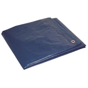 Dry Top 7008299 8 x 10 ft. Medium Duty Polyethylene Tarp, Blue
