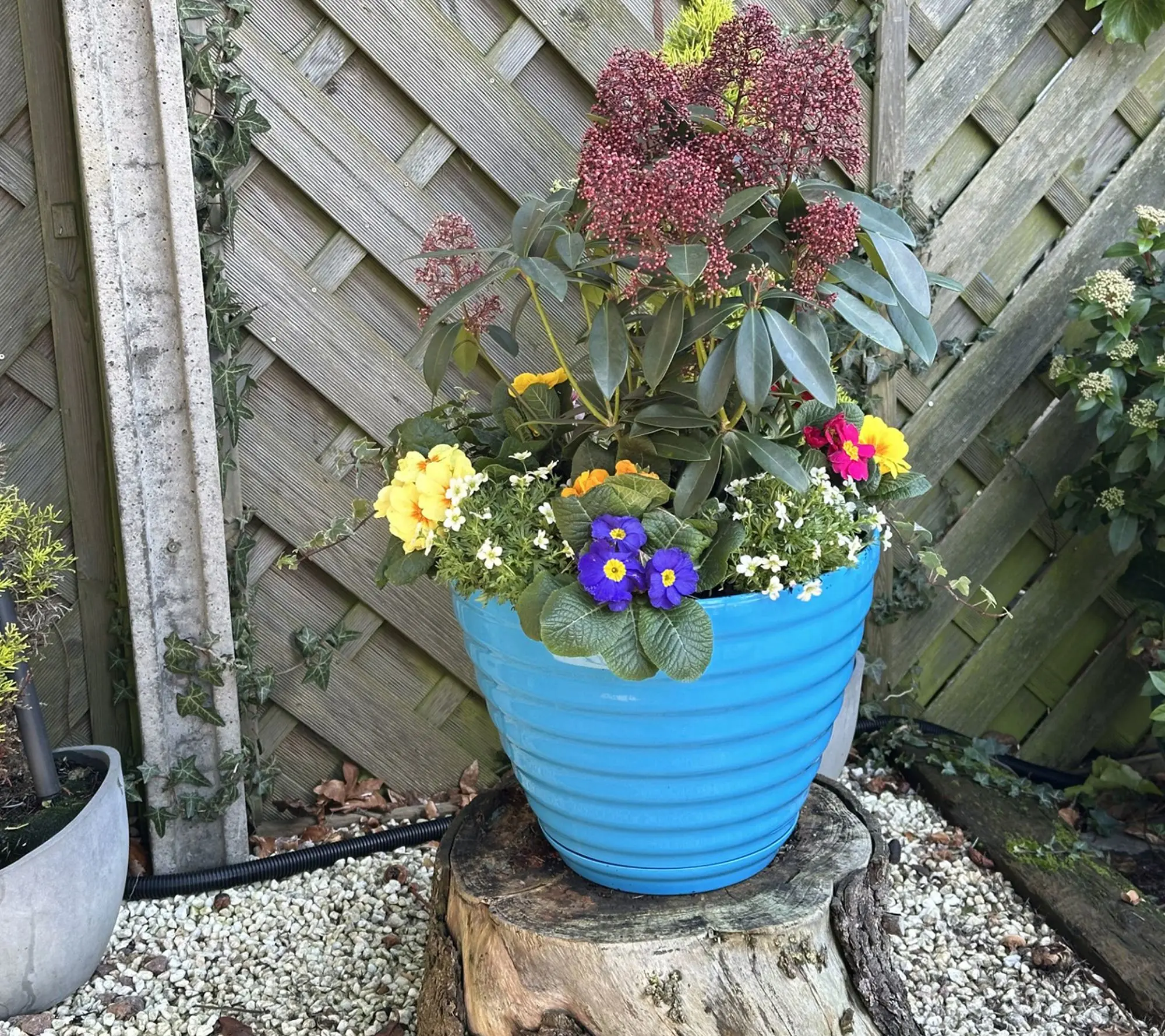 big lots planters - TikTok Shop