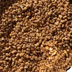 5lbs Ewa Oloyin (Oloyin beans) Protein