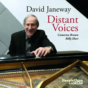 David Janeway - Distant Voices  [COMPACT DISC - CD]