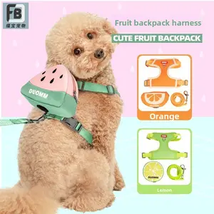 New Arrival Pet Harness with Built-in Backpack, Vest Style Self-Backpack Dog Harness & Leash for Small Puppies, Adjustable Breathable Walking Harness,summervibes