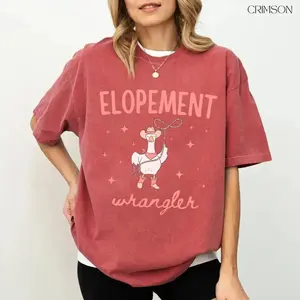 Comfort Colors Elopement Expert TShirt Funny ABA Therapist Tee BCBA RBT Behavior Analyst Gift Goose Humor T-Shirt Special Education Teacher - SoftHype Apparel