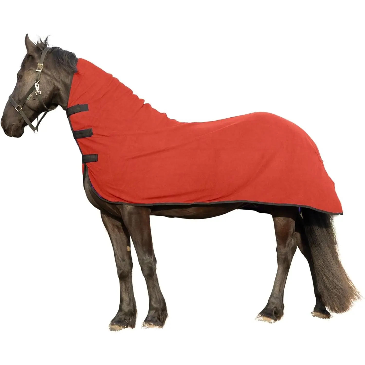Polar Fleece Contoured Horse Cooler - Anti-Sweat Moisture Wicking, 3 Quick-Grip Neck Closures, Tail Cord, Durable Hemmed Edges, Soft Fabric, Post-Exercise Cool Down