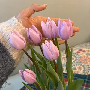 Lavender Purple Prince Tulip Bulbs, Bright Spring Flower Bulbs of Choice for Home and Gifts (3 randomly selected)