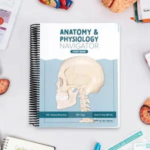 Anatomy & Physiology Navigator – Ultimate Study Guide for Nursing Students