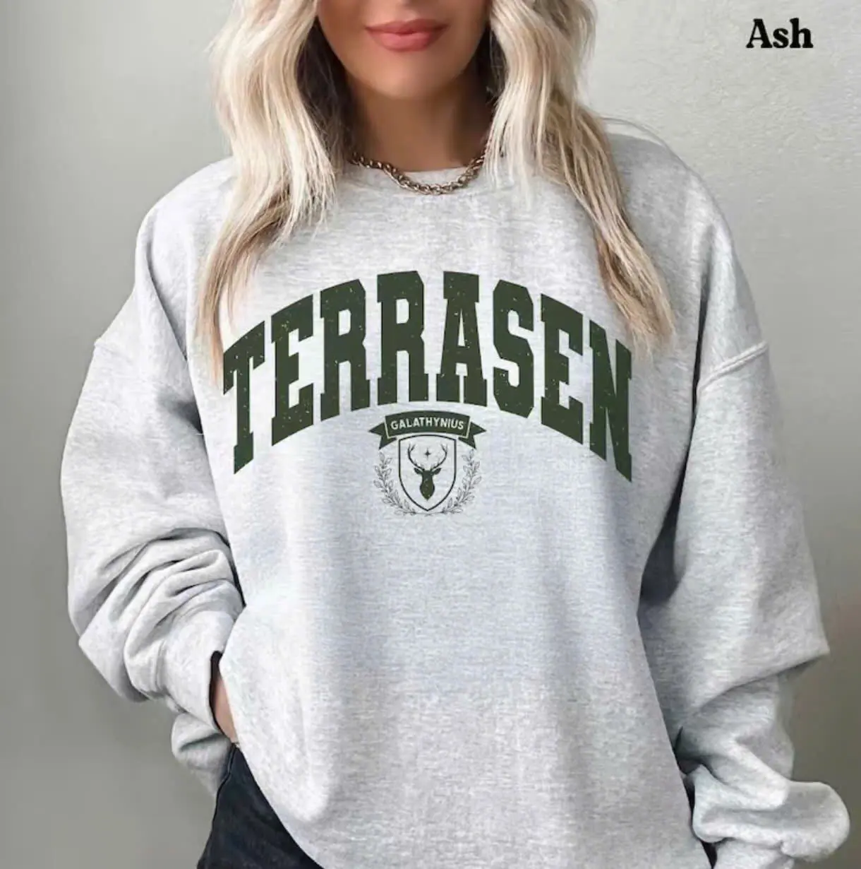 Terrasen Sweatshirt, Terrasen Sweater, Throne of Glass sweater, Gift for the Rhysand Fan Girl, ACOTAR Merch, Aelin Galathynius, TOG