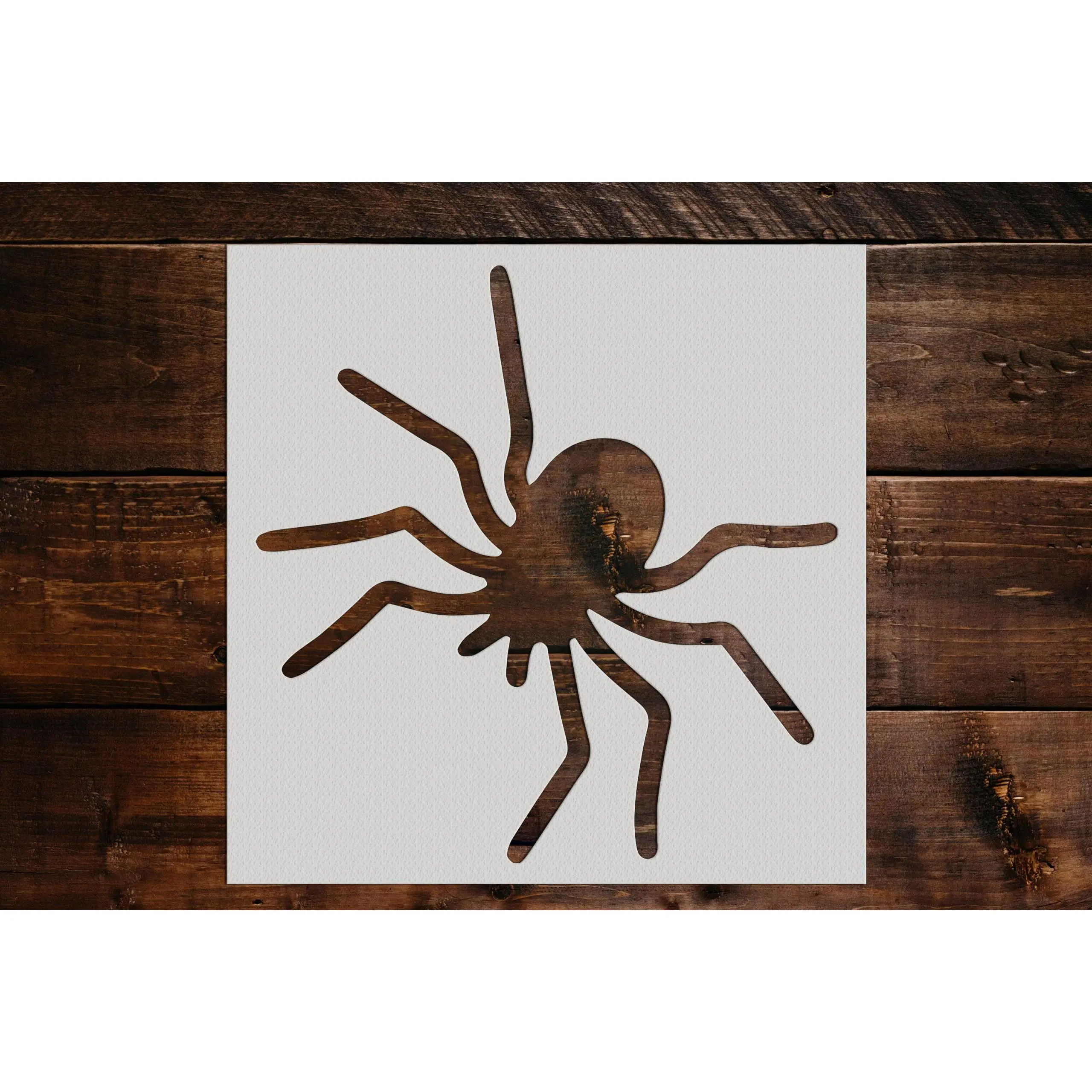 Spider Stencil - Art and Wall Stencil