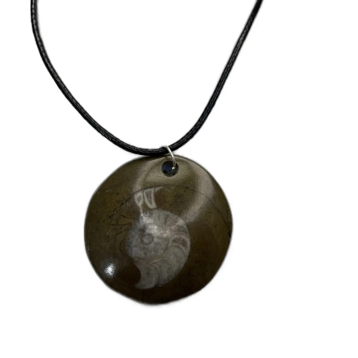 Ammonite fossil necklace