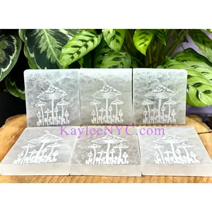 Wholesale Lot 6 pcs Natural Selenite aka Satin Spar Mushroom Charging Plate Crystal