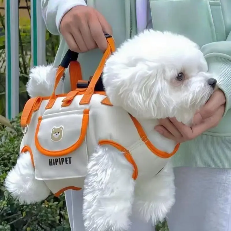3-in-1 pet carrier and leash for easy travel Backpack-style dog walker with hands-free carrying and built-in storage space soft  sided  cat  carrier