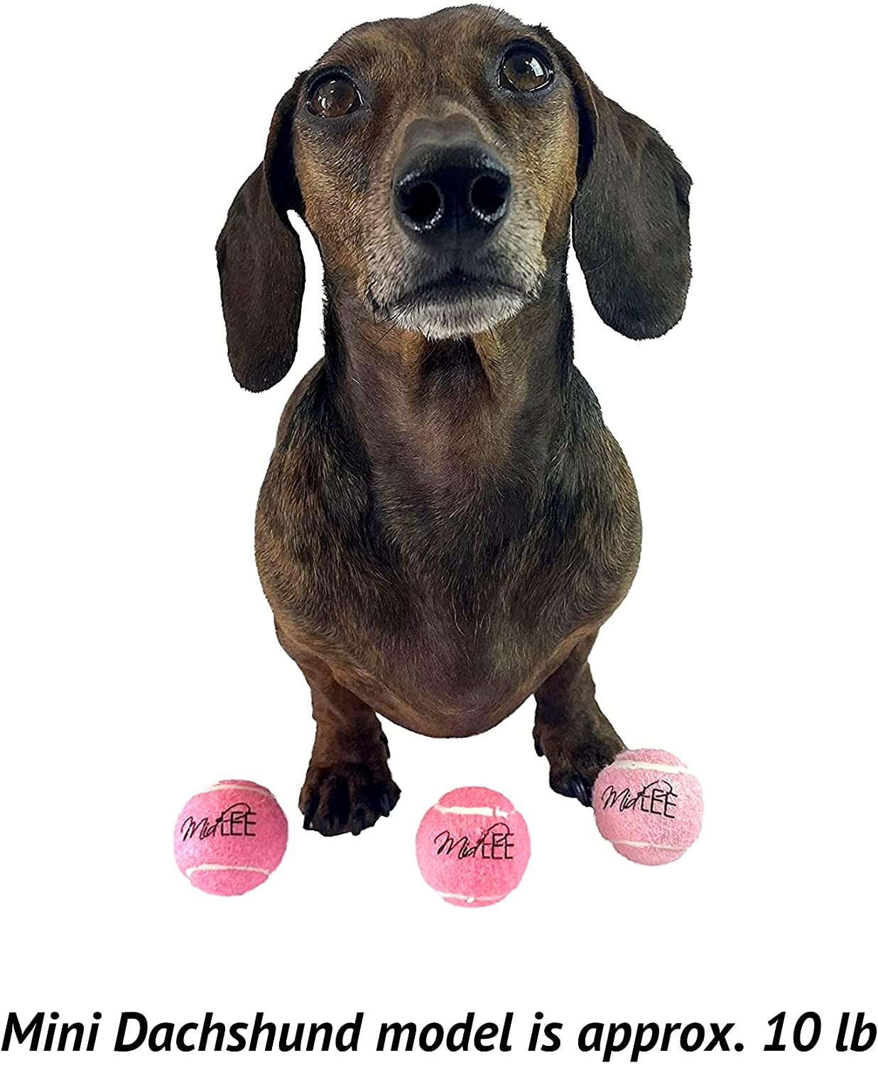 Midlee Mini 1.5" Squeaky Dog Tennis Balls Pink 6 Pack for Small Dogs Fun Fetch Toys with Built-in Squeaker for Active Play